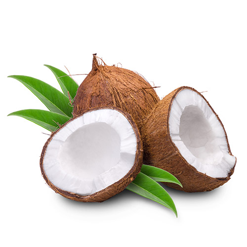 Coconut Manufacturers in Pune