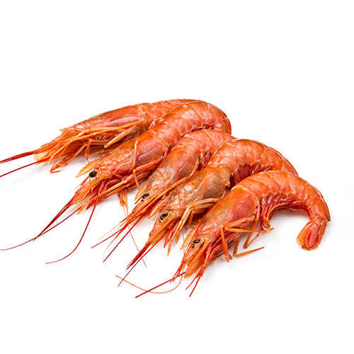 Prawn Manufacturers in Pune
